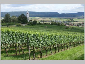 Wanderung 21.8.19 15.jpg